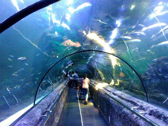 Taman Impian Jaya Ancol